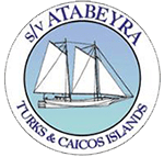 Atabeyra - Excel Access Expert Client